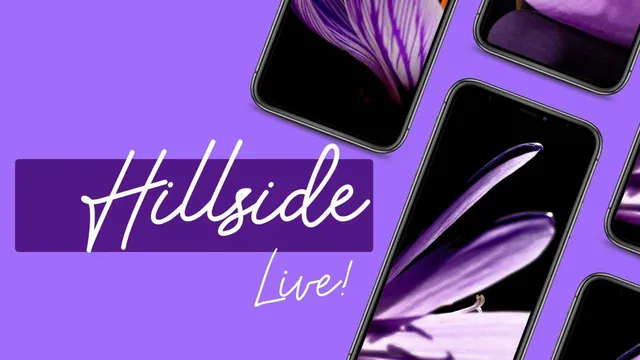 Hillside Live! key art